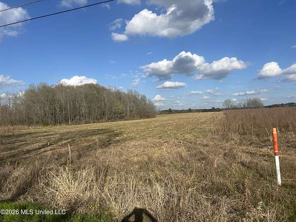 6.5 Acres of Land for Sale in Morton, Mississippi