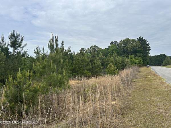 66.4 Acres of Recreational Land for Sale in Philadelphia, Mississippi