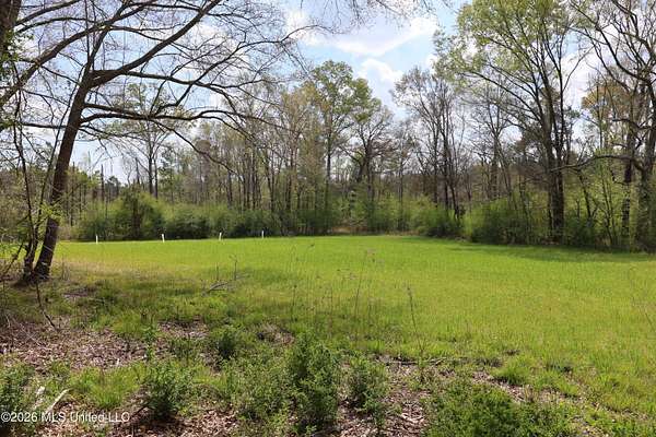 462 Acres of Recreational & Residential Land for Sale in Hazlehurst, Mississippi