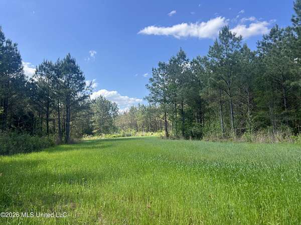 183 Acres of Land for Sale in Carthage, Mississippi