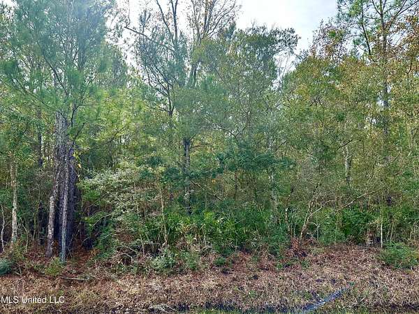 0.24 Acres of Residential Land for Sale in Ocean Springs, Mississippi