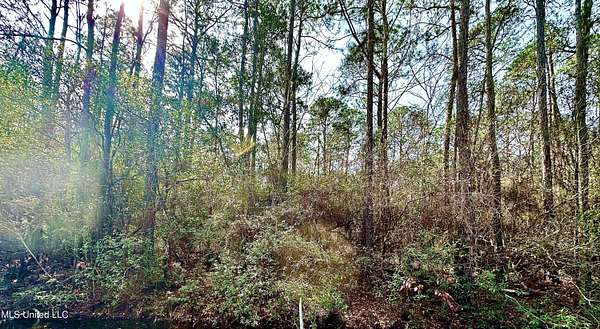0.26 Acres of Residential Land for Sale in Ocean Springs, Mississippi