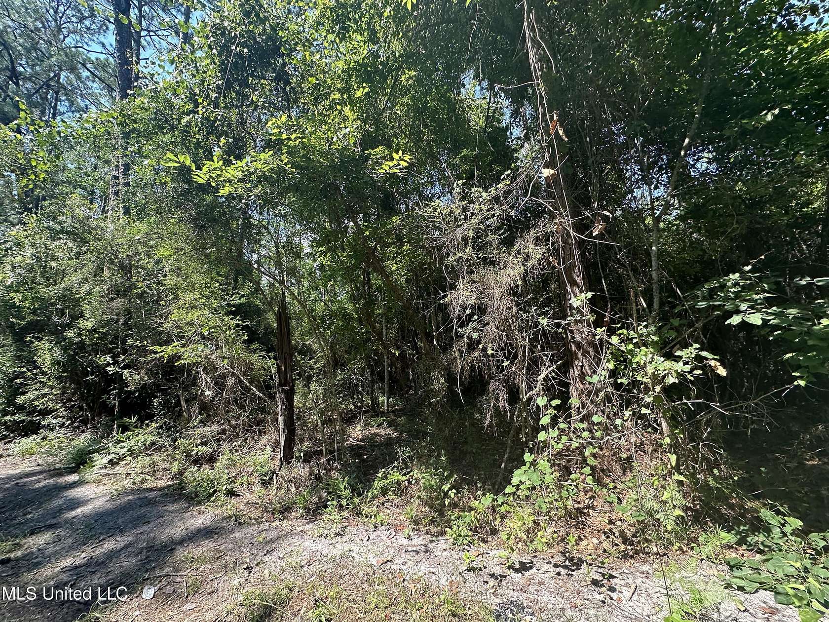 0.26 Acres of Residential Land for Sale in Ocean Springs, Mississippi