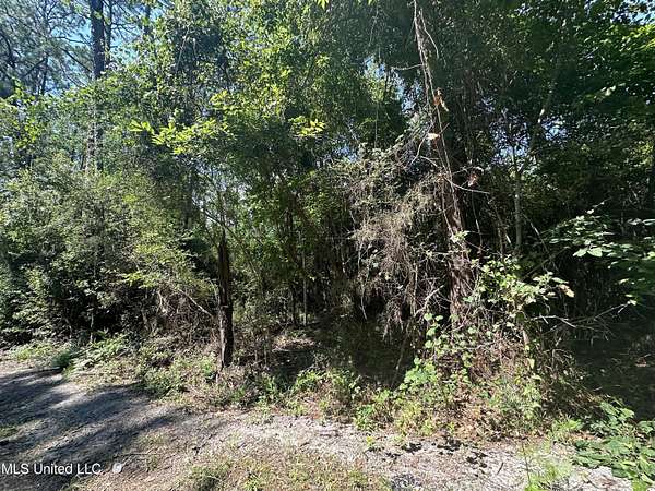 0.26 Acres of Residential Land for Sale in Ocean Springs, Mississippi
