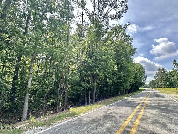 95 Acres of Recreational & Residential Land for Sale in Morton, Mississippi