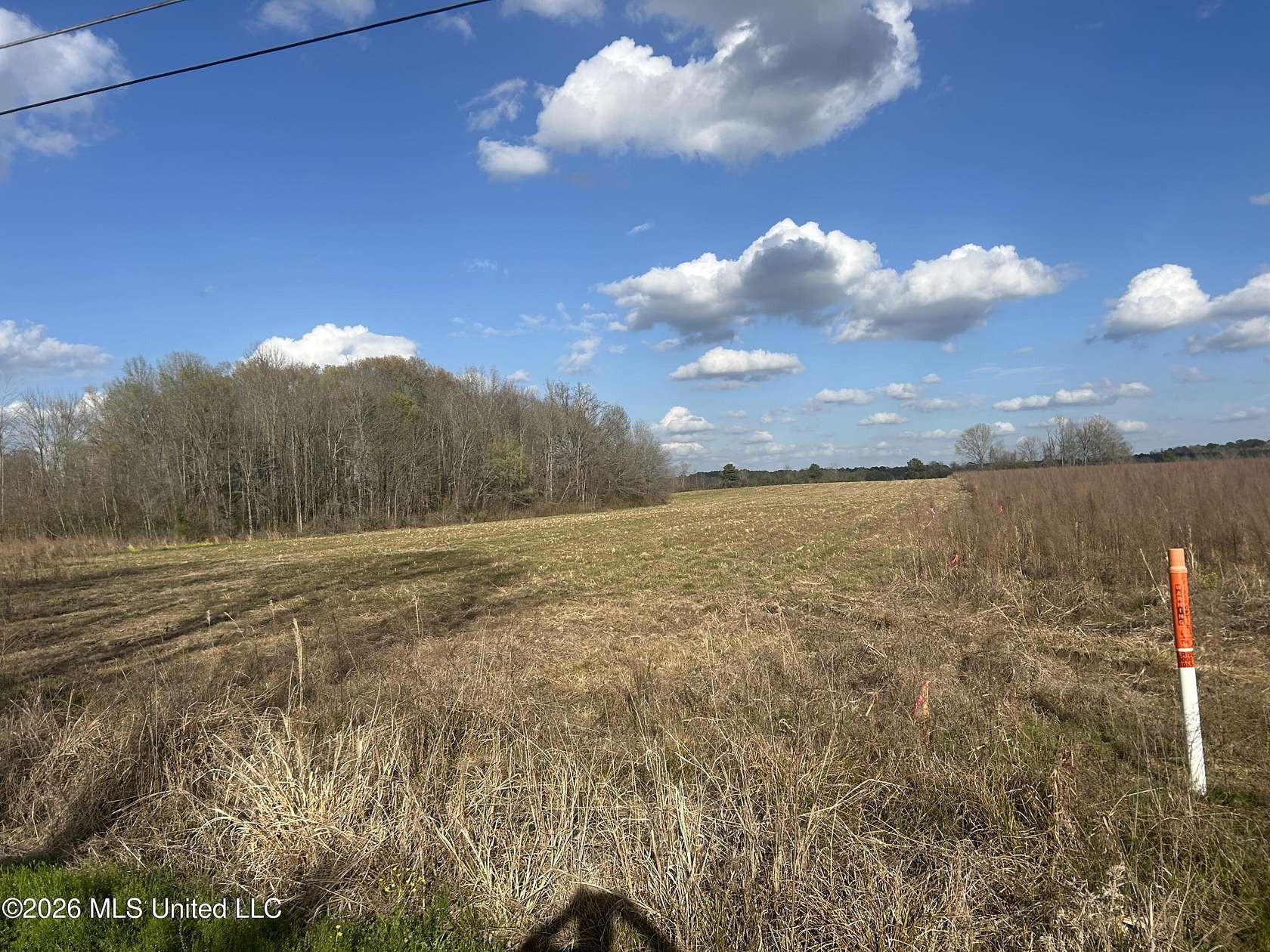 6.44 Acres of Land for Sale in Forest, Mississippi