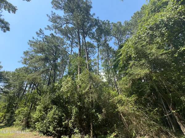 0.26 Acres of Residential Land for Sale in Ocean Springs, Mississippi
