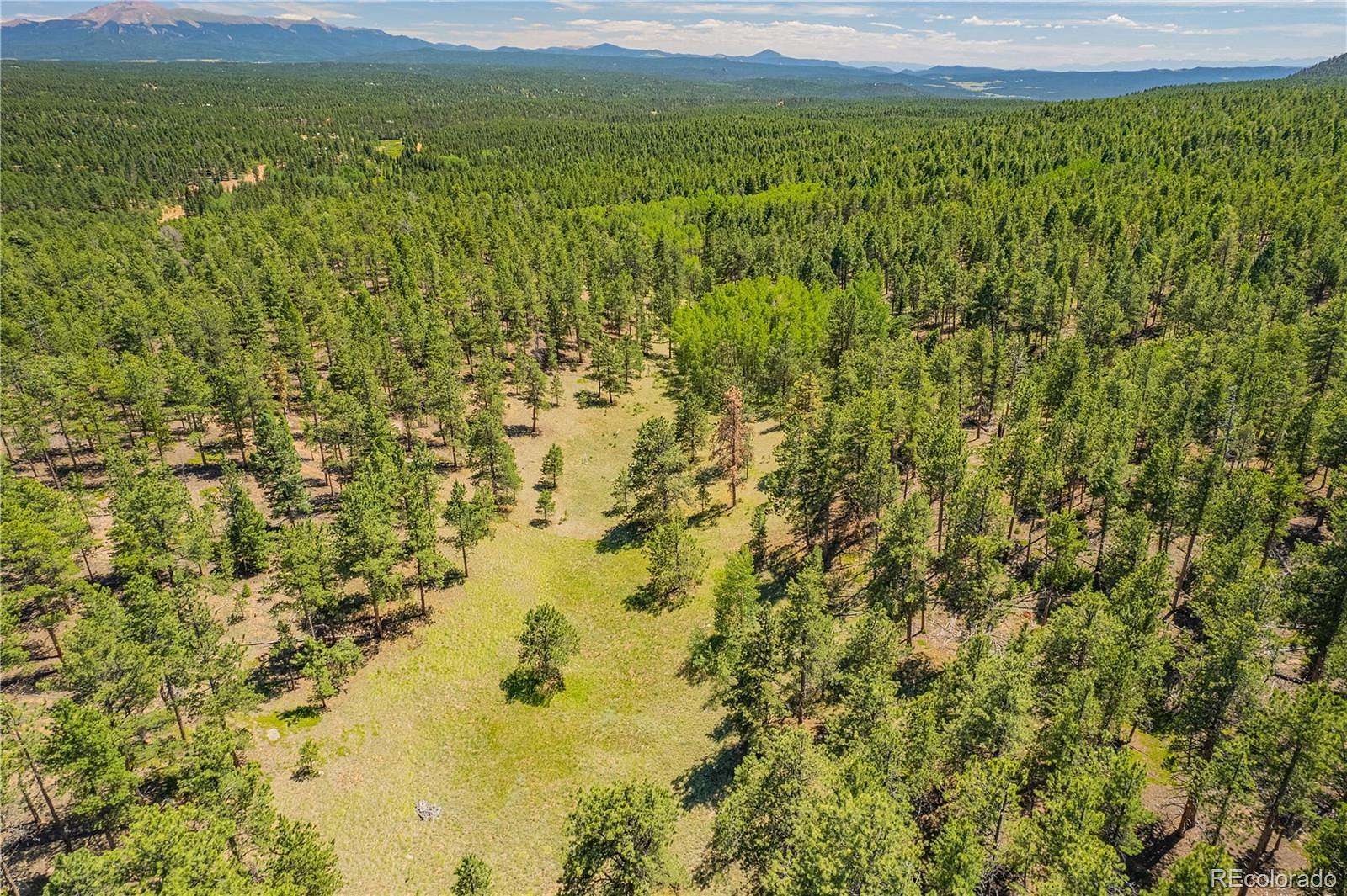 41.3 Acres of Recreational & Residential Land for Sale in Florissant, Colorado