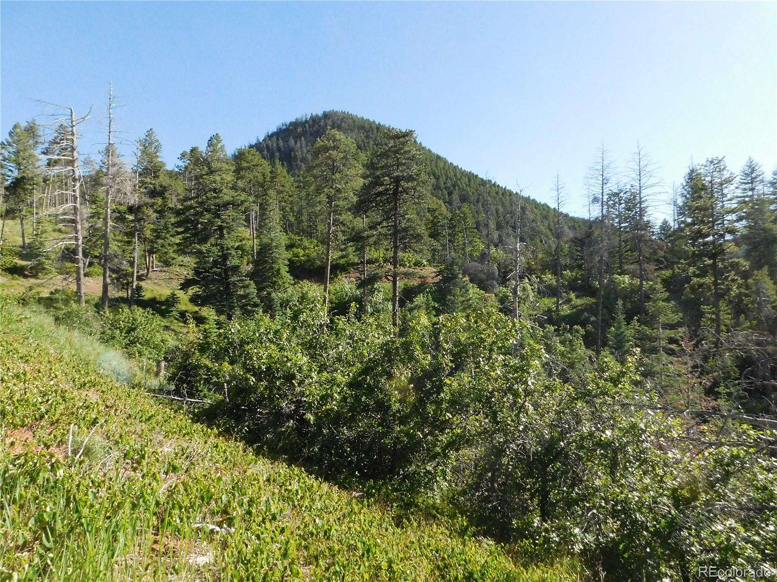 1.88 Acres of Residential Land for Sale in Larkspur, Colorado