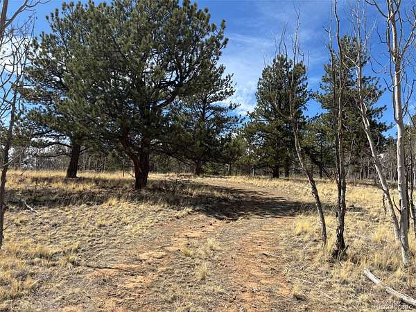 2 Acres of Residential Land for Sale in Jefferson, Colorado