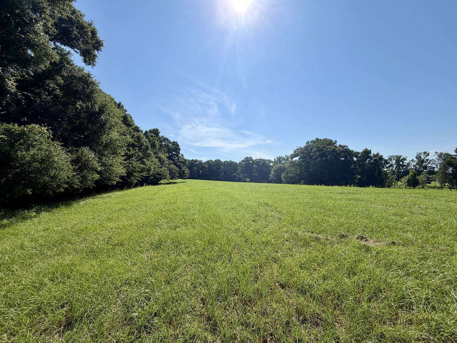 31 Acres of Land for Sale in Rutledge, Alabama