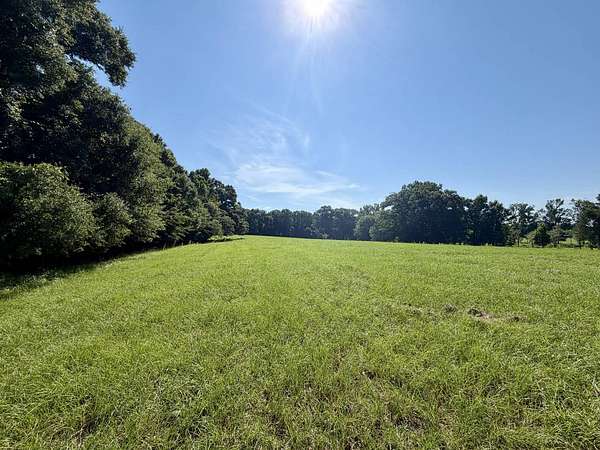 31 Acres of Land for Sale in Rutledge, Alabama