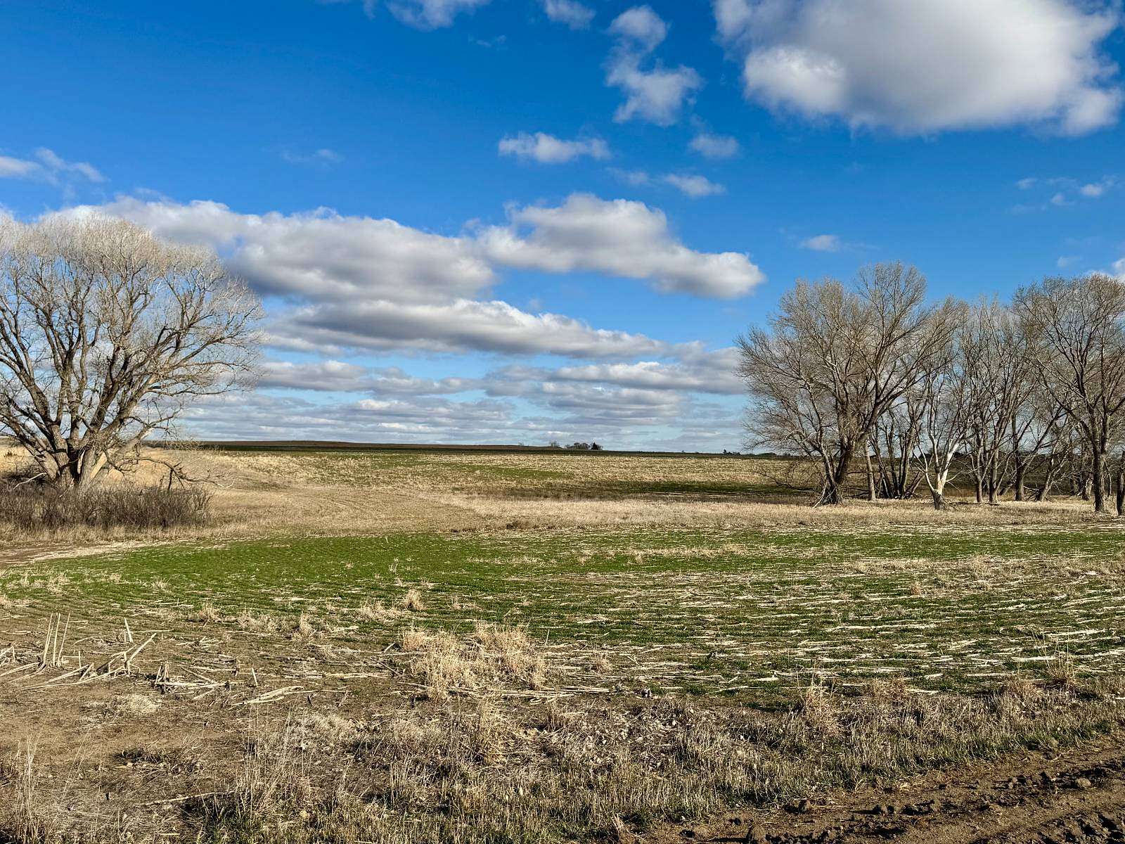157 Acres of Land for Sale in Nekoma, Kansas