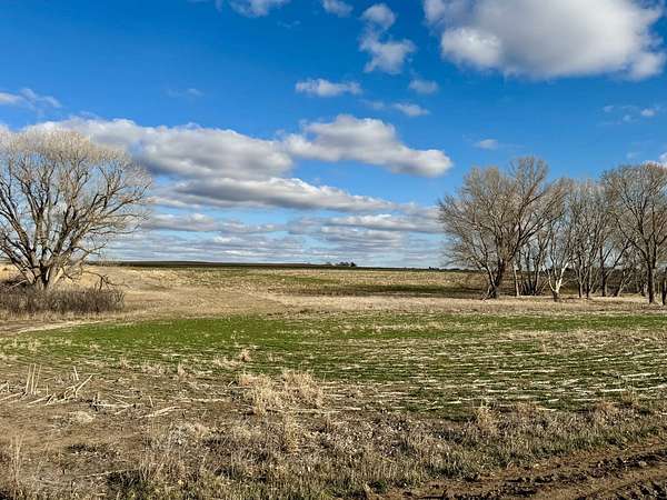 157 Acres of Land for Sale in Nekoma, Kansas