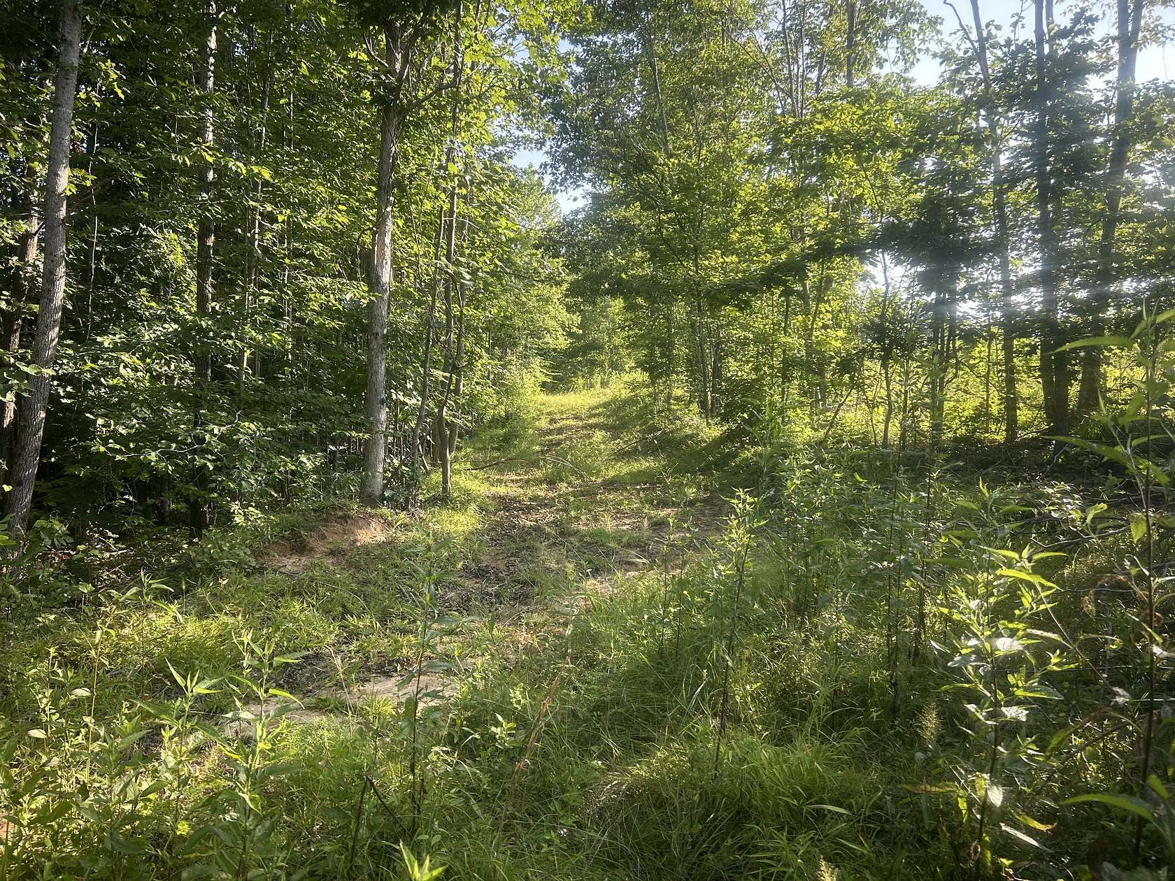 17 Acres of Recreational & Residential Land for Sale in Camden, Tennessee