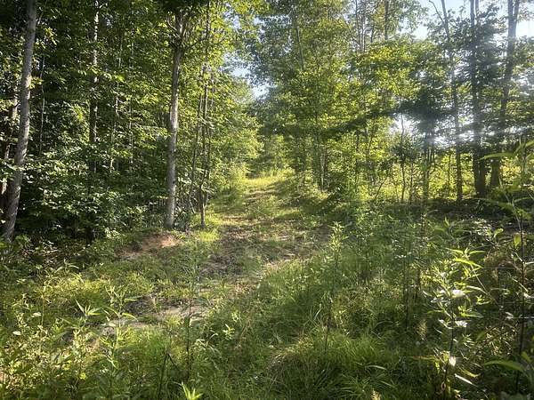 17 Acres of Recreational & Residential Land for Sale in Camden, Tennessee