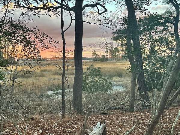 9.5 Acres of Land with Home for Sale in Carrollton, Virginia