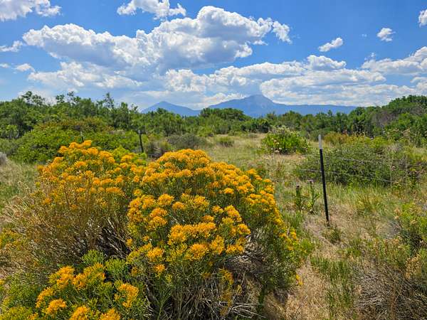 38 Acres of Land for Sale in La Veta, Colorado