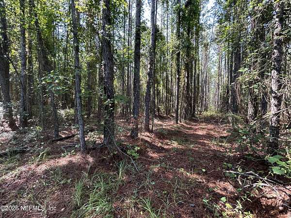 15.3 Acres of Recreational & Residential Land for Sale in Crescent City, Florida