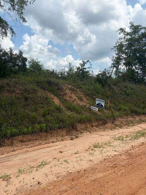 10.6 Acres of Land for Sale in Luverne, Alabama