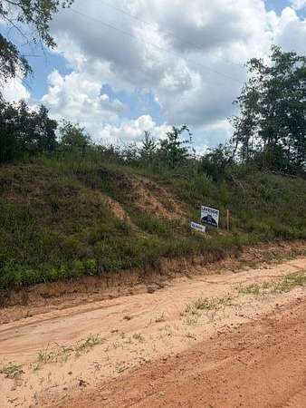 10.6 Acres of Land for Sale in Luverne, Alabama