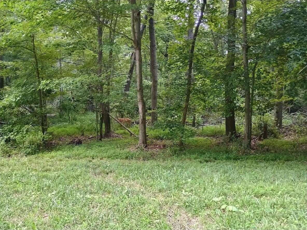 15 Acres of Recreational Land for Sale in Lexington Park, Maryland
