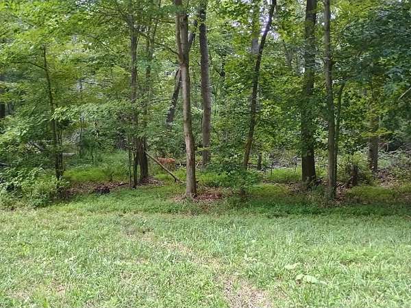 15 Acres of Recreational Land for Sale in Lexington Park, Maryland