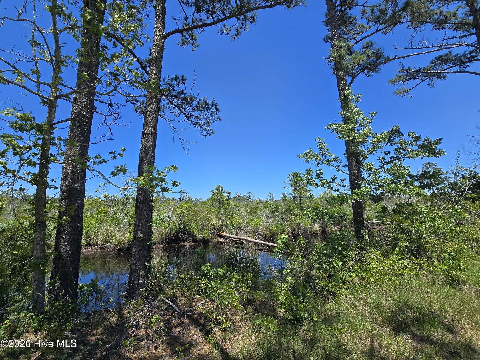 9.18 Acres of Land for Sale in Shiloh, North Carolina