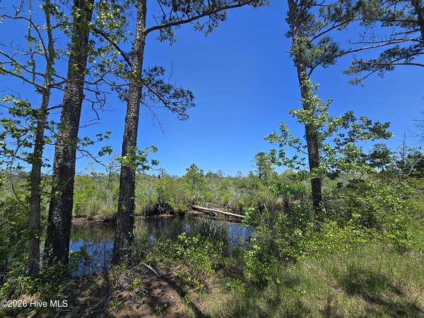 9.18 Acres of Land for Sale in Shiloh, North Carolina