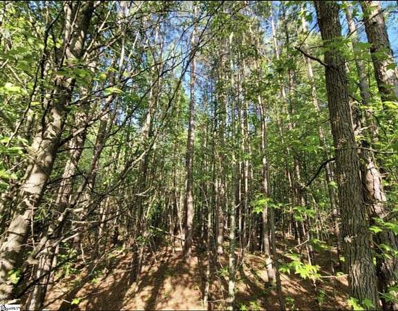 2.3 Acres of Residential Land for Sale in Gaffney, South Carolina