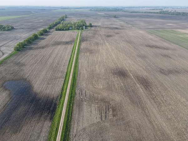 155 Acres of Agricultural Land for Auction in Benson, Minnesota