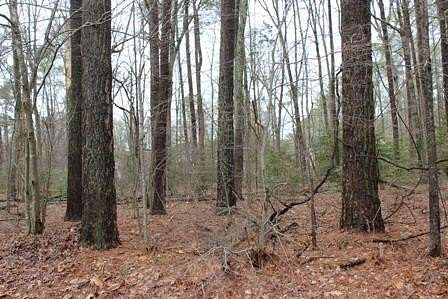 0.22 Acres of Residential Land for Sale in Greenbackville, Virginia