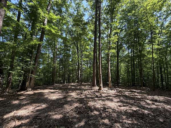 5.24 Acres of Residential Land for Sale in Louisa, Virginia