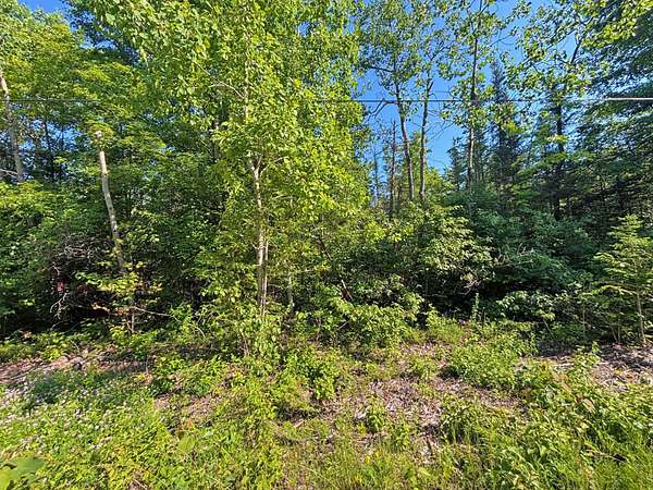 0.36 Acres of Residential Land for Sale in Presque Isle, Michigan