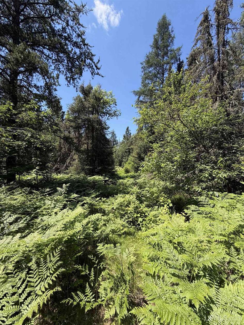 20.2 Acres of Recreational Land for Sale in Ishpeming, Michigan
