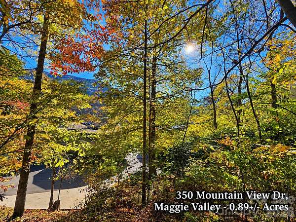 0.89 Acres of Residential Land for Sale in Maggie Valley, North Carolina
