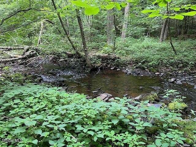 8.37 Acres of Residential Land for Sale in Stamford, New York