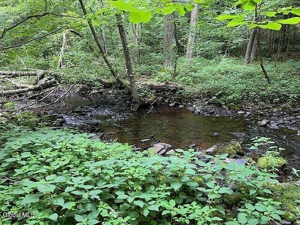 8.37 Acres of Residential Land for Sale in Stamford, New York