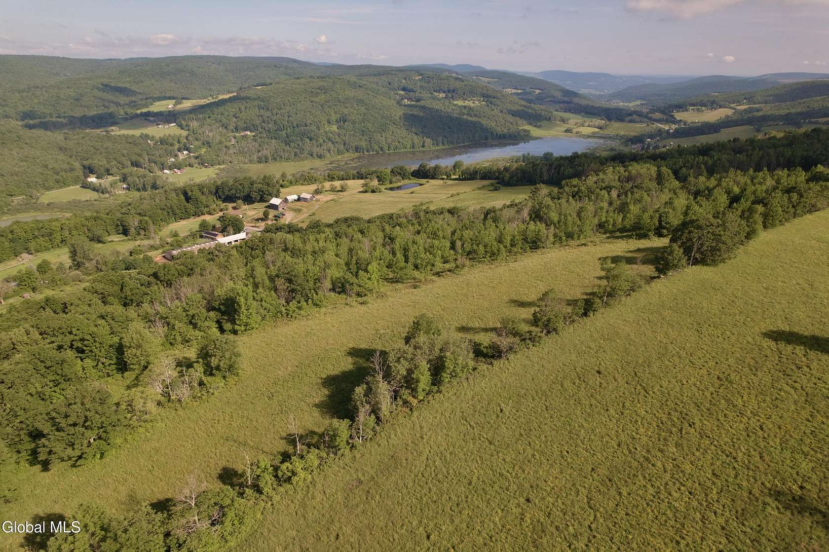 65.5 Acres of Land for Sale in Middleburgh, New York