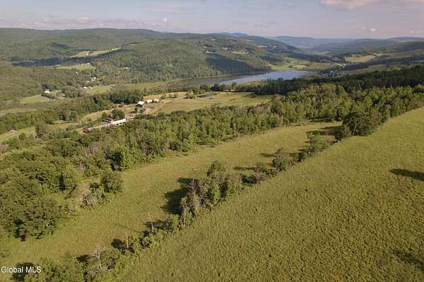 65.5 Acres of Land for Sale in Middleburgh, New York