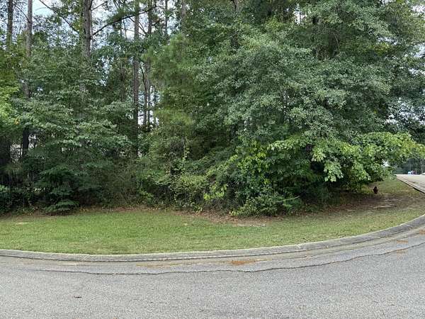 0.32 Acres of Land for Sale in Purvis, Mississippi