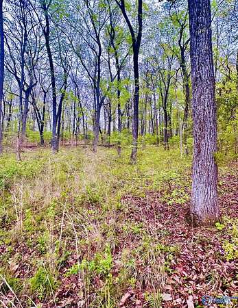 Residential Land for Sale in Decatur, Alabama
