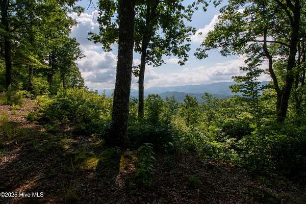 15.6 Acres of Land for Sale in Marble, North Carolina