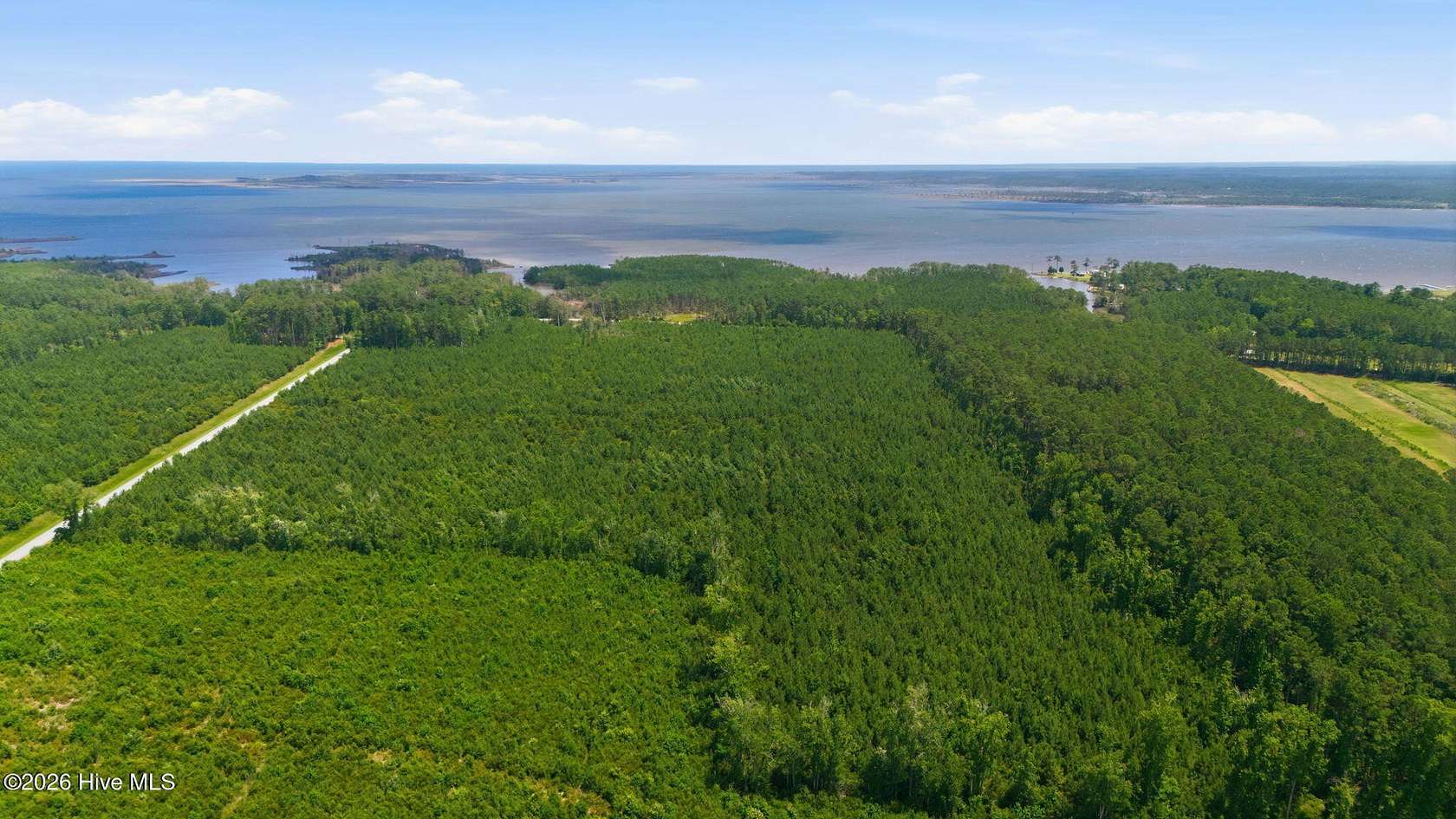 100 Acres of Recreational & Residential Land for Sale in Bayboro, North Carolina