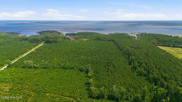 100 Acres of Recreational & Residential Land for Sale in Bayboro, North Carolina