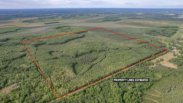 158 Acres of Recreational Land for Sale in Wright, Minnesota