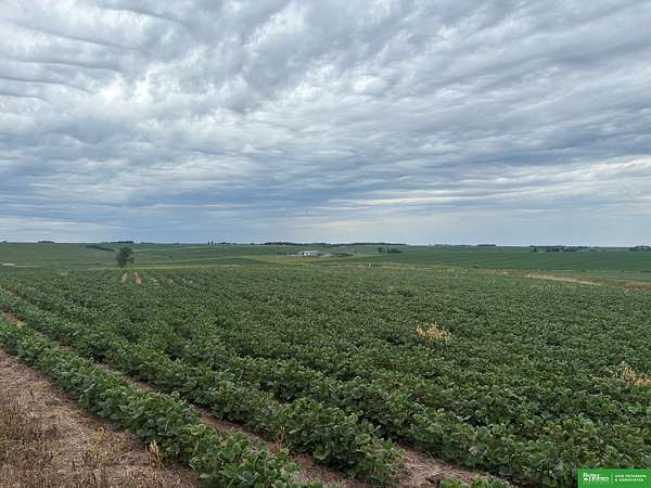 81 Acres of Land for Sale in Hooper, Nebraska