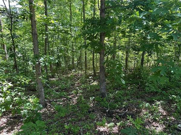 0.69 Acres of Residential Land for Sale in Bella Vista, Arkansas