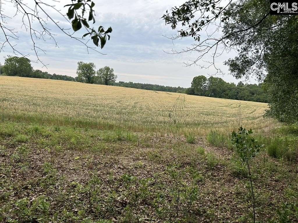 9 Acres of Residential Land for Sale in Pelion, South Carolina
