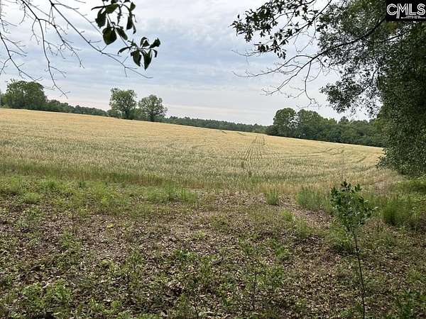 9 Acres of Residential Land for Sale in Pelion, South Carolina